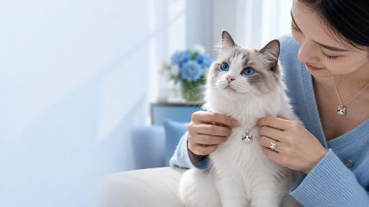 Beyond Mass-Produced: Capturing Your Pet's Spirit in a Custom Keepsake