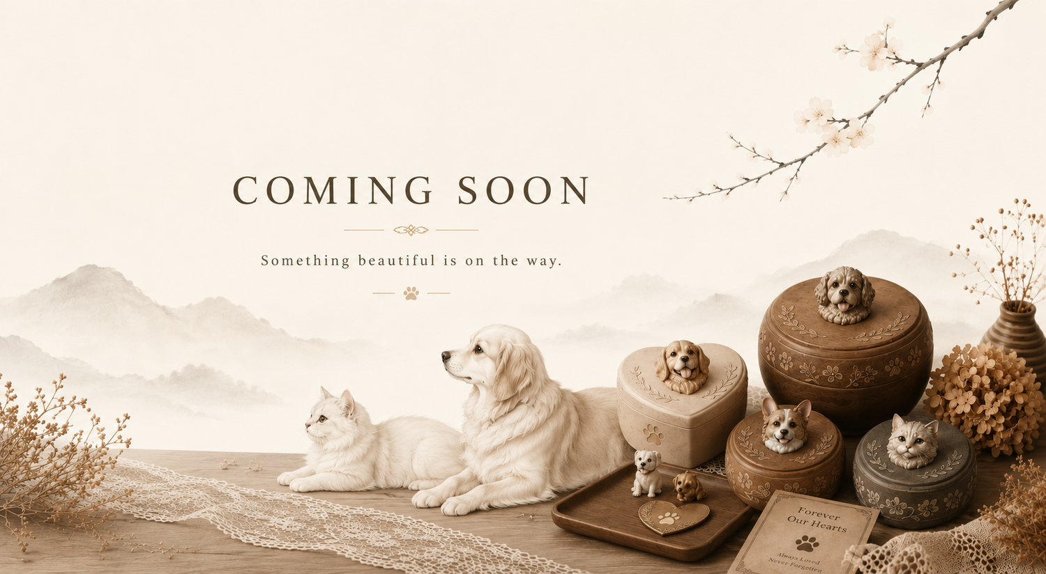 COMING SOON