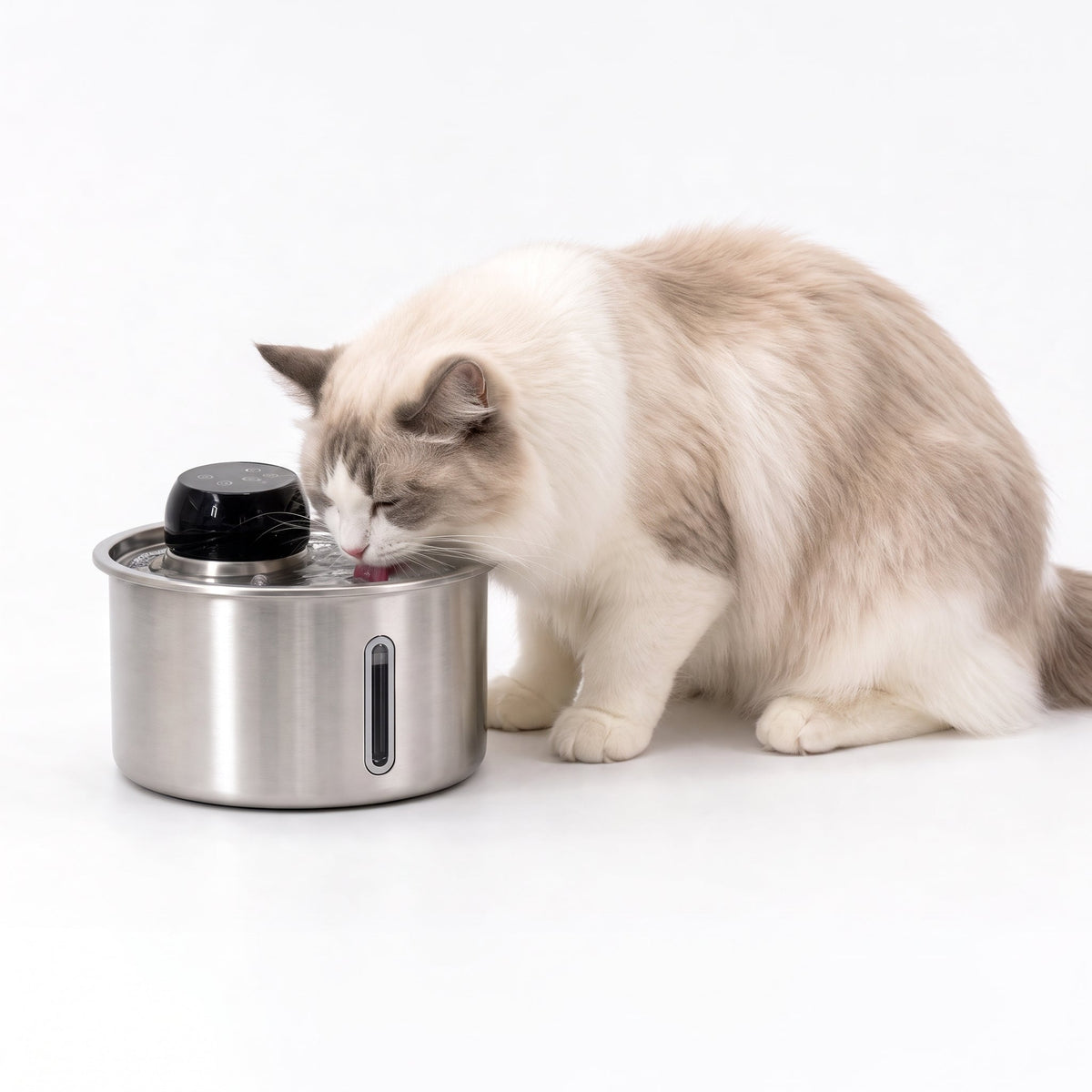 Pet Water Fountain