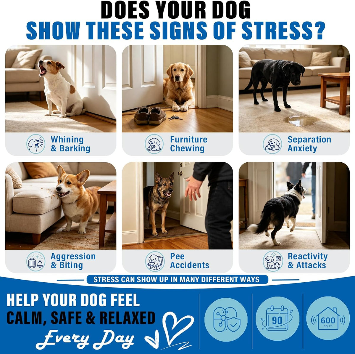 Signs of Dog Stress and Separation Anxiety Solved by Calming Diffuser